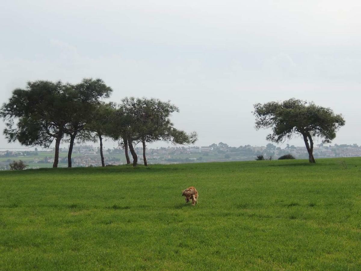 Casavero Voroklini Bagian luar foto
