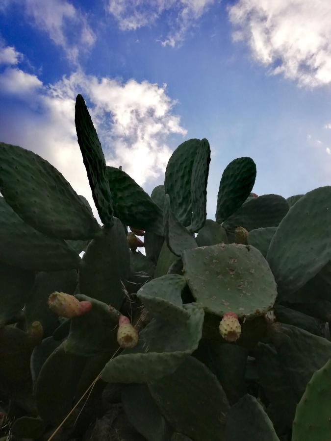 Casavero Voroklini Bagian luar foto